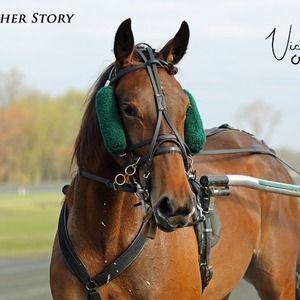 Meet your Posher, Vicki